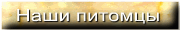 Наши питомцы